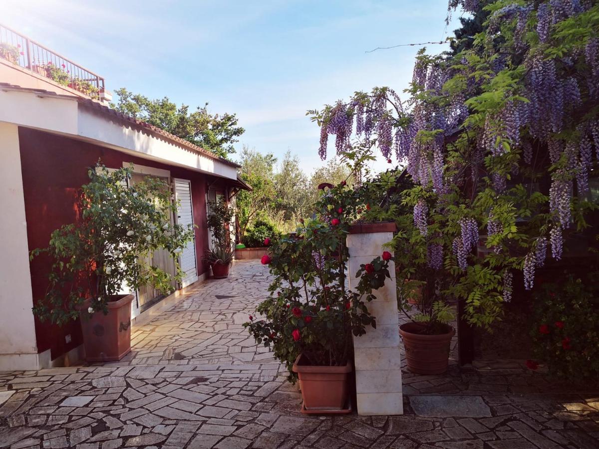 B&B Villa Lena Turi Extérieur photo