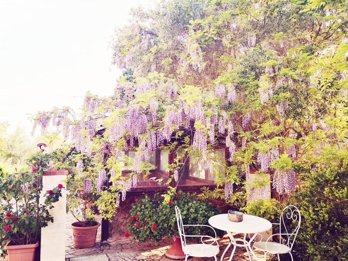 B&B Villa Lena Turi Extérieur photo