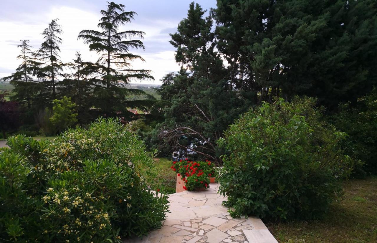 B&B Villa Lena Turi Extérieur photo