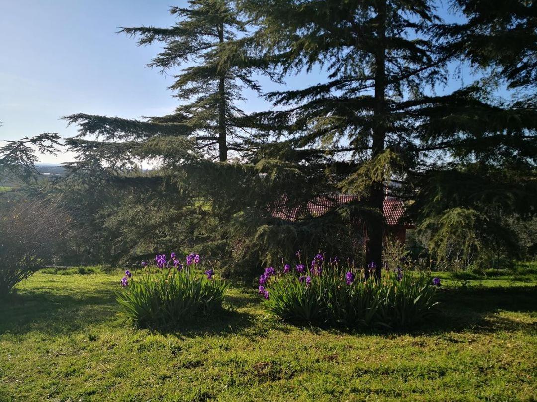 B&B Villa Lena Turi Extérieur photo